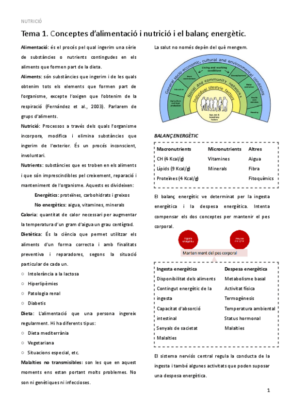 Miniatura del documento TEMA-1.pdf
