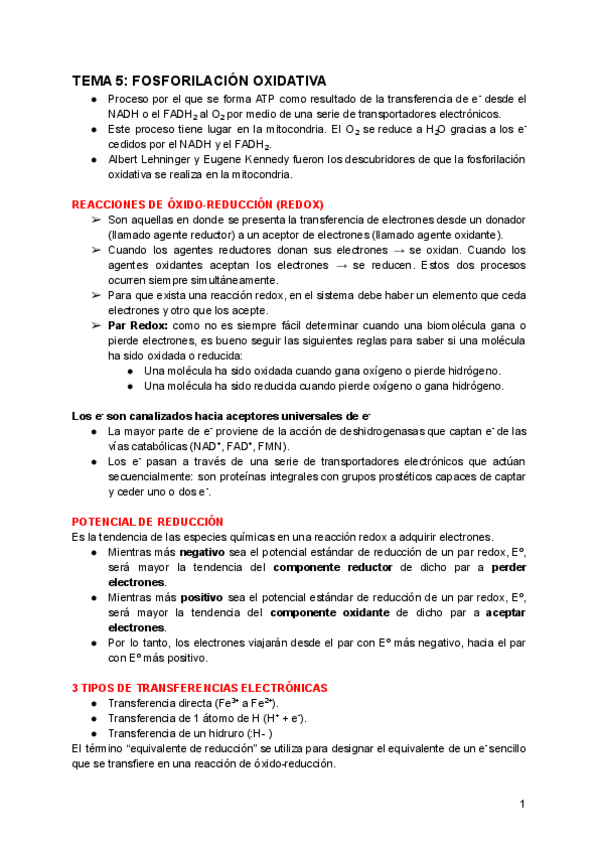 Miniatura del documento TEMA-5-FOSFORILACION-OXIDATIVA-Y-FOTOSINTESIS.pdf
