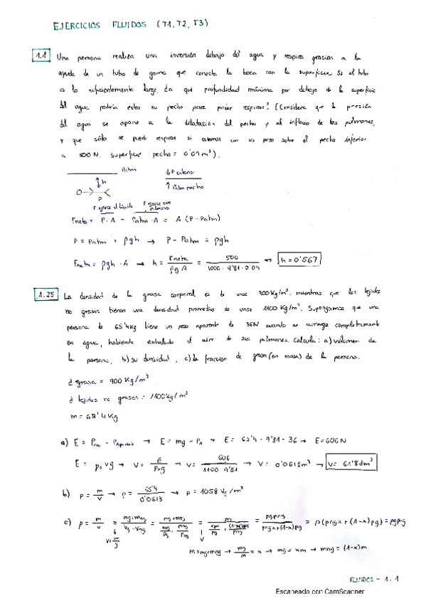 Miniatura del documento ejercicios-bloque1-fisica.pdf