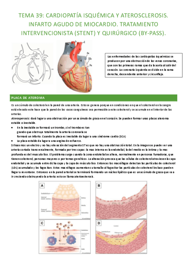 Miniatura del documento TEMA-39-completo.pdf