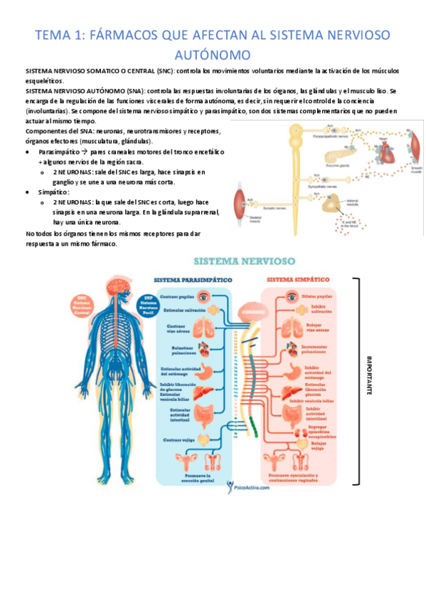 Miniatura del documento tema-1-completo.pdf