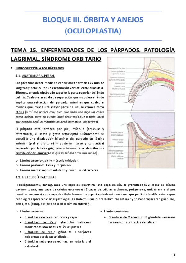 Miniatura del documento BLOQUE-III-ORBITA-Y-ANEJOS-OCULOPLASTIA.pdf