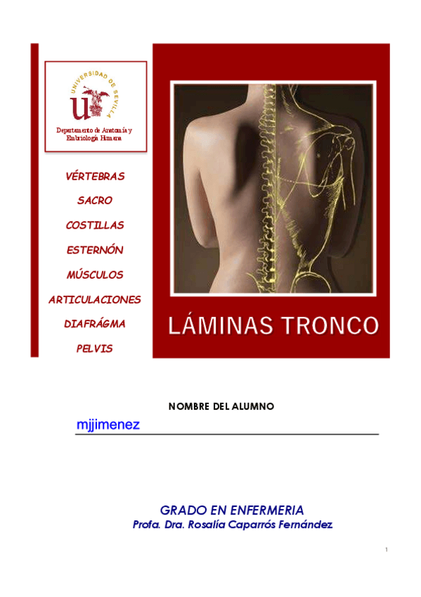 Miniatura del documento LAMINAS-TRONCO-ROSALIA.pdf