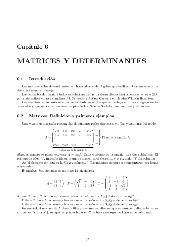 Miniatura del documento DETERMINANTES-.pdf