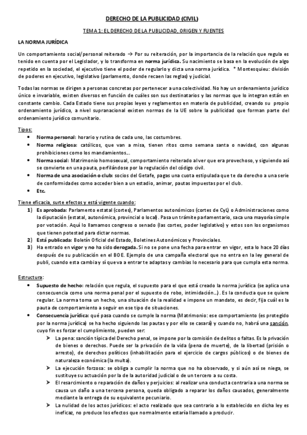 Miniatura del documento DERECHO-CIVIL-DE-LA-PUBLICIDAD.pdf