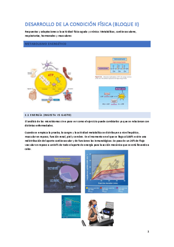 Miniatura del documento DESARROLLO-DE-LA-CONDICION-FISICA.pdf