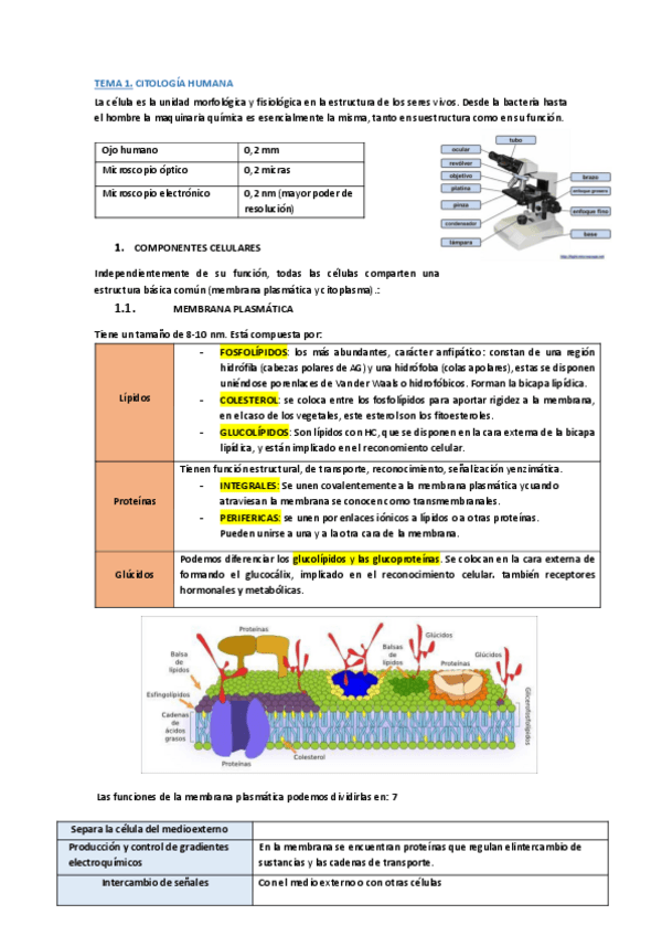 Miniatura del documento T1-CITOLOGIA-.pdf