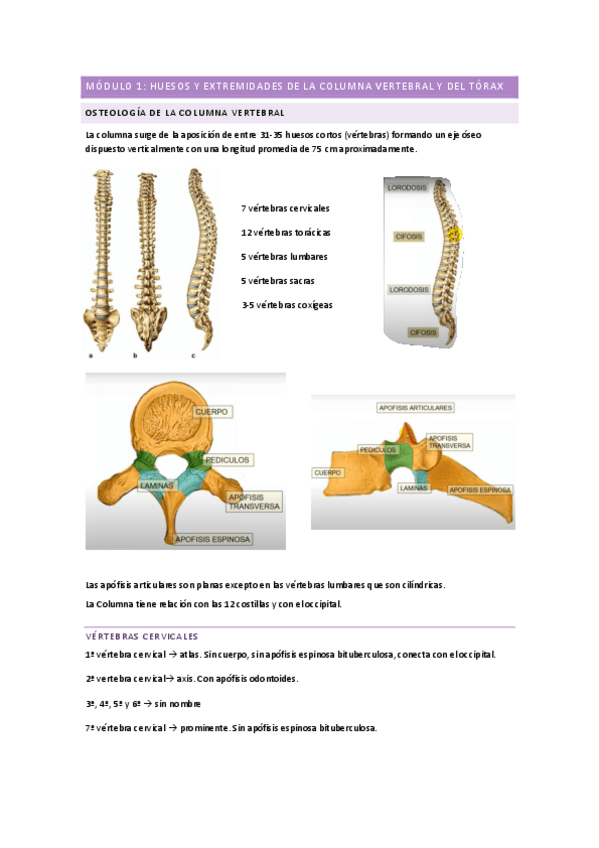 Miniatura del documento MODULO-1-PRACTICAS.pdf