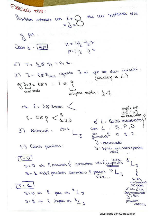 Miniatura del documento RESUMEN-NUCLEAR-con-teoria.pdf