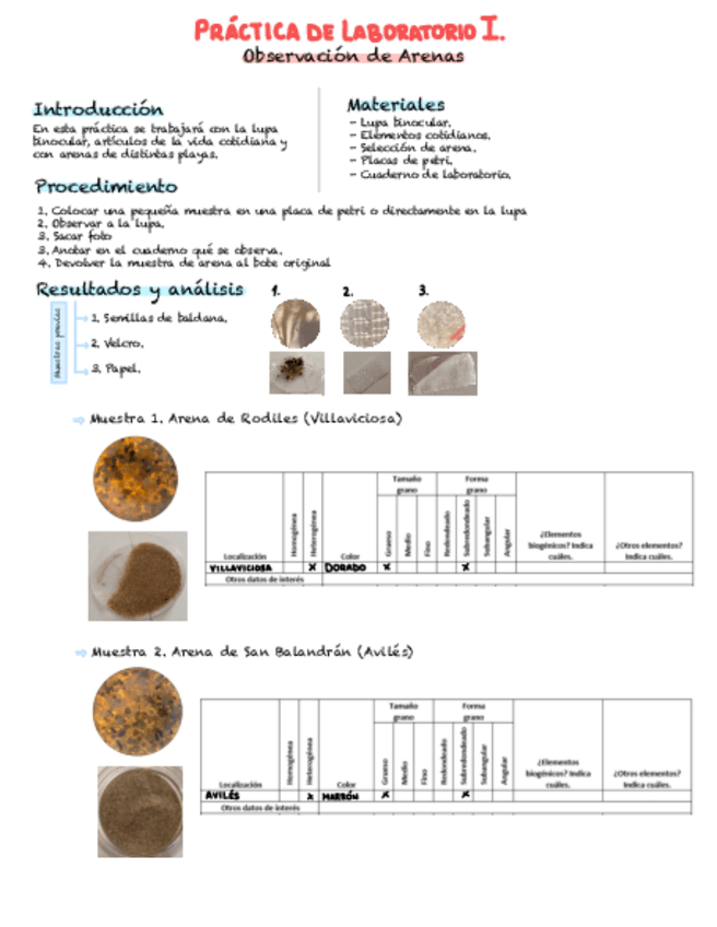 Miniatura del documento Informe-Practico-I.pdf