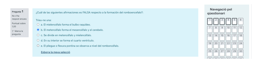 Miniatura del documento RESPUESTAS-2.pdf