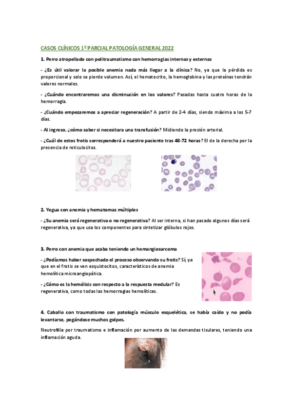 Miniatura del documento recopilacion-casos-clinicos-primer-parcial-2022.pdf