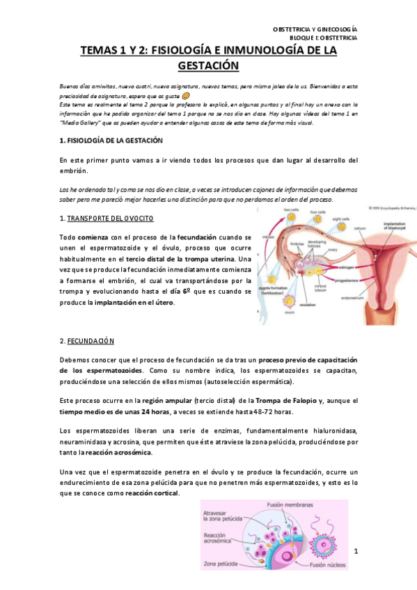 Miniatura del documento TEMA-1-Y-2.pdf