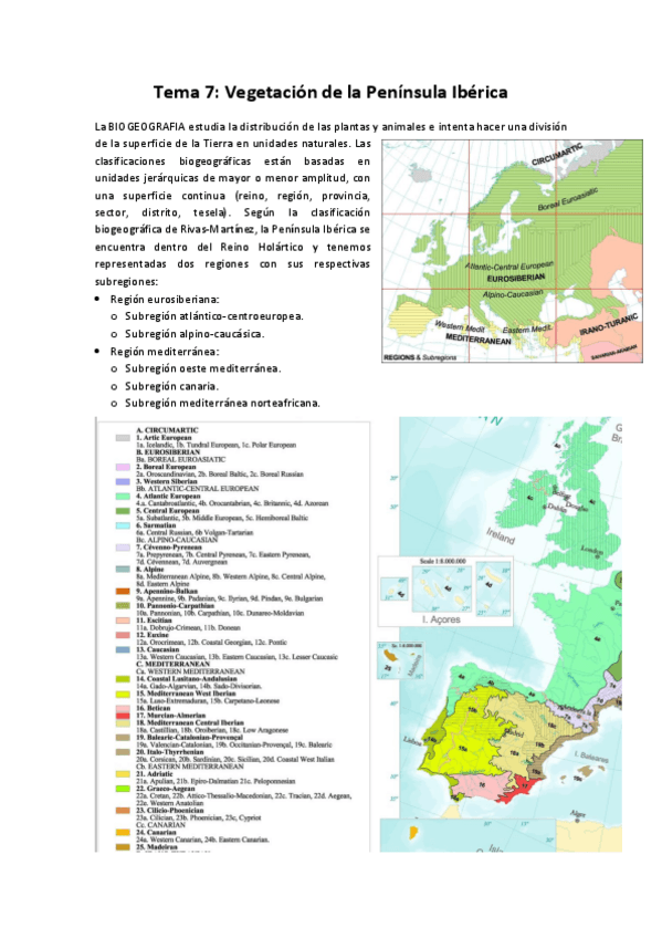 Miniatura del documento Tema-7.pdf