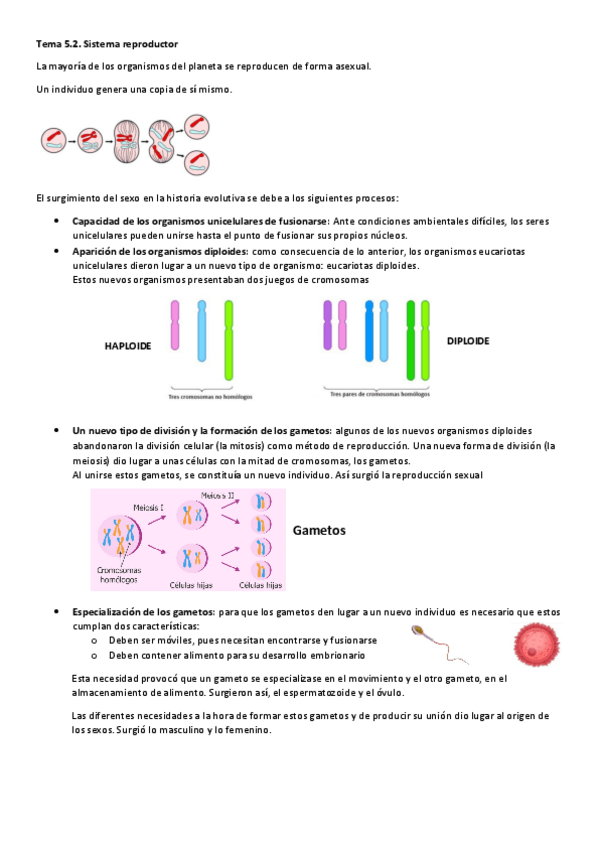 Miniatura del documento Tema-5.pdf