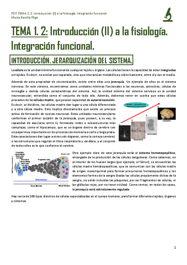 Miniatura del documento FSIT-TEMA-1.pdf
