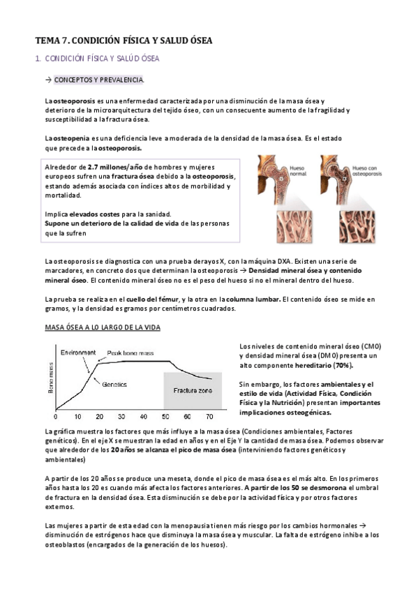 Miniatura del documento Tema7.pdf