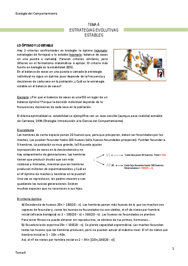 Miniatura del documento Tema-4-Estategias-Evolutivas-Estables.pdf