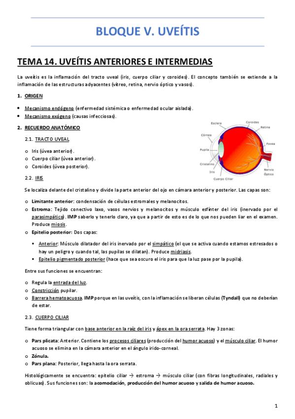 Miniatura del documento BLOQUE-V-UVEITIS.pdf