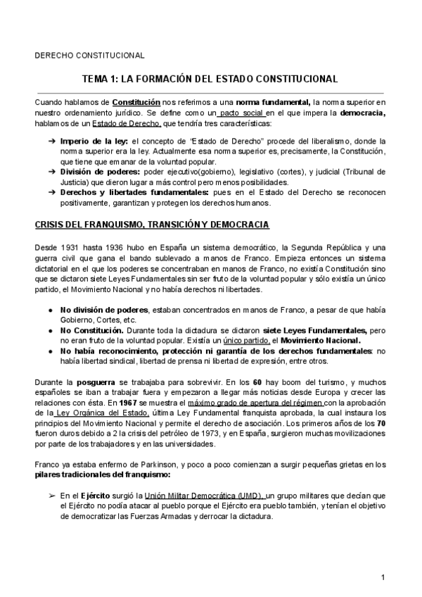 Miniatura del documento DERECHO-CONSTITUCIONAL.pdf
