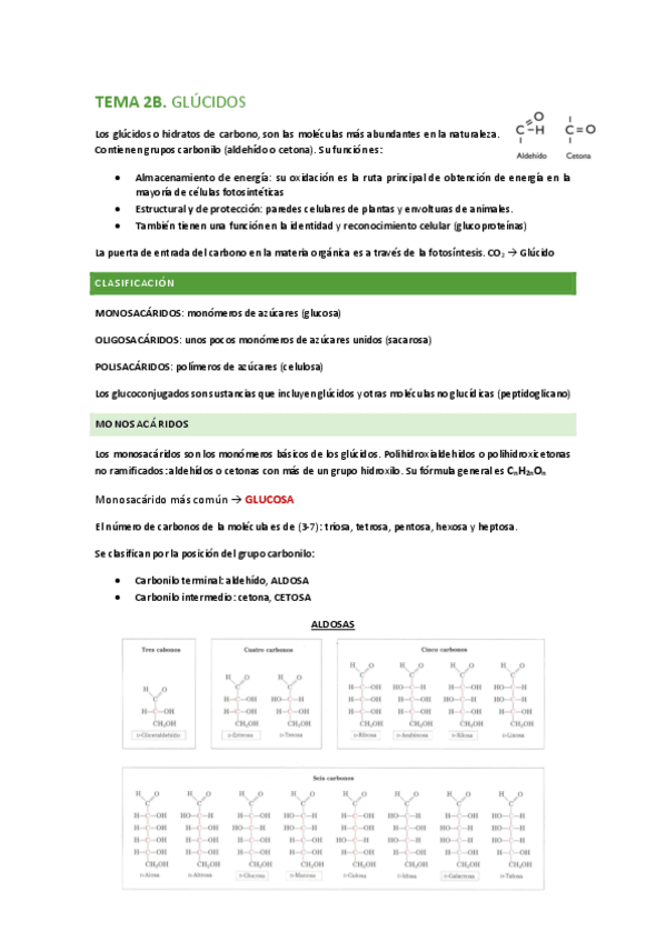 Miniatura del documento TEMA-2B-Glucidos.pdf