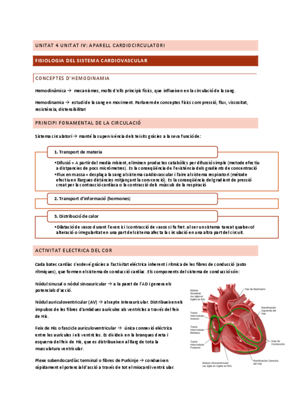 Miniatura del documento U4-parell-Cardioresp-Funcio-II.pdf