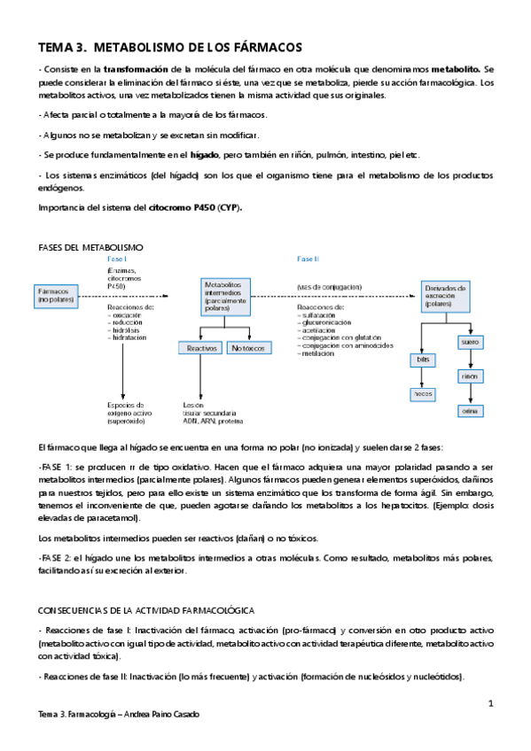 Miniatura del documento TEMA-3.pdf