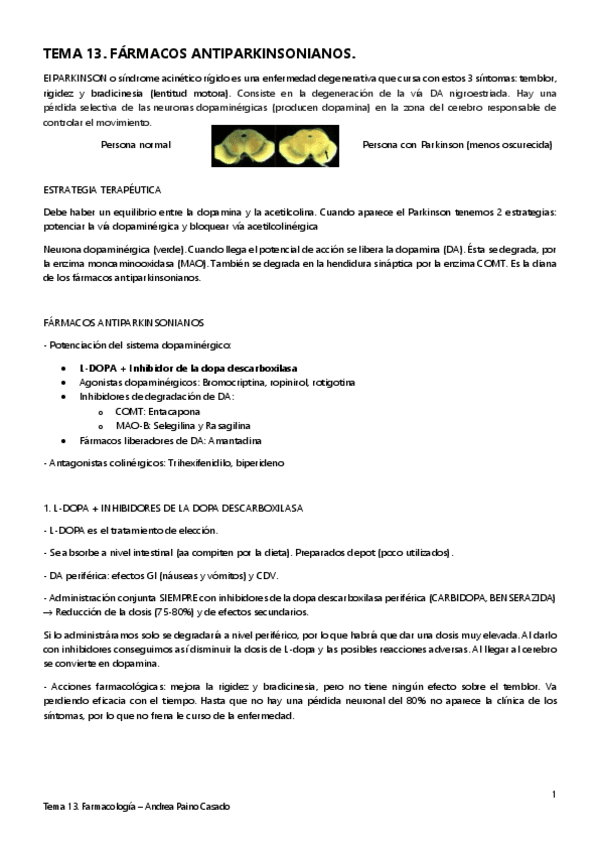 Miniatura del documento TEMA-13.pdf