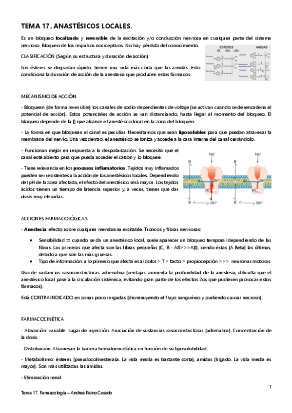 Miniatura del documento TEMA-17.pdf