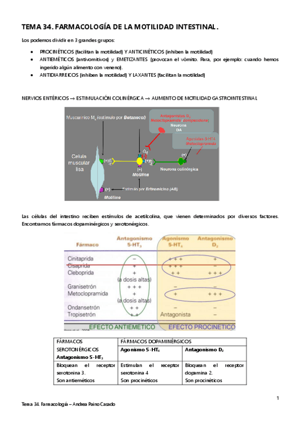 Miniatura del documento TEMA-34.pdf