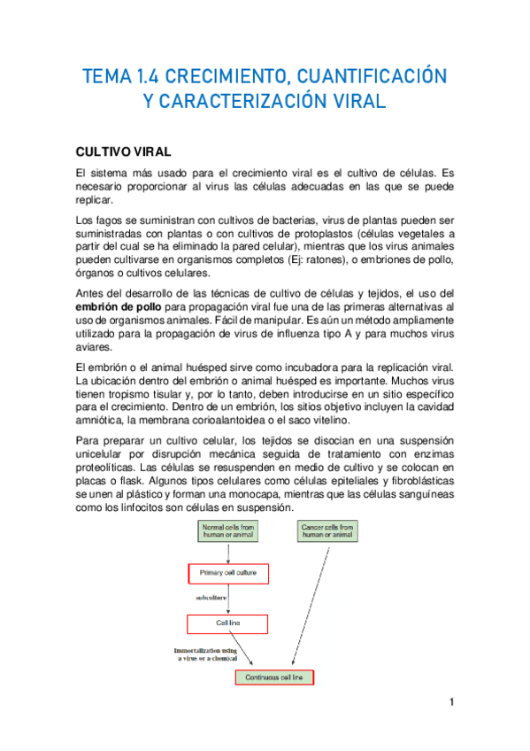 Miniatura del documento TEMA-1.pdf