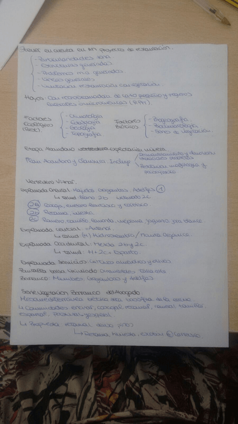 Miniatura del documento IMG-20170613-WA0011.jpg