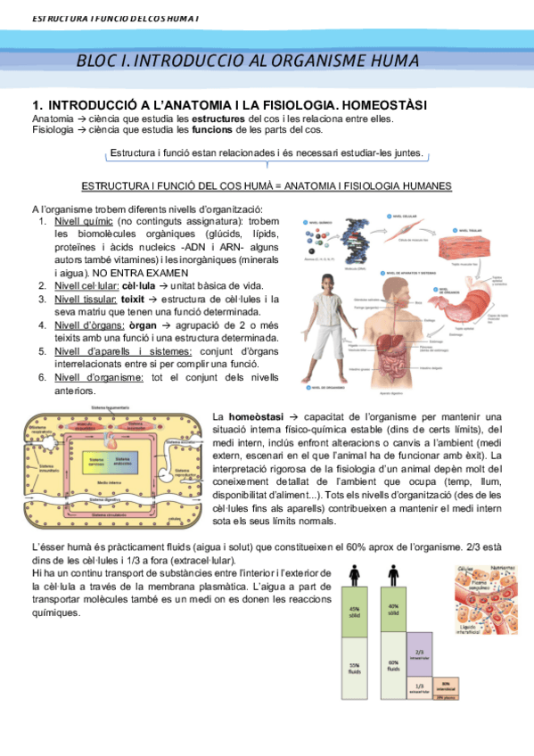 Miniatura del documento BLOC-1.pdf
