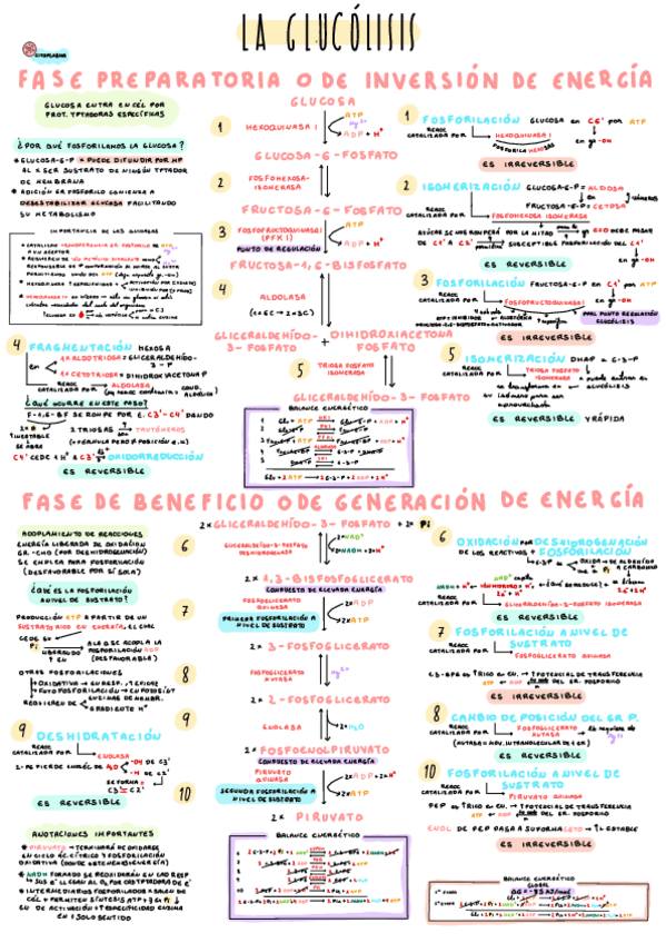 Miniatura del documento 1.pdf