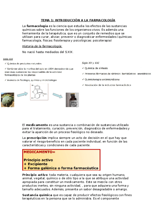 Miniatura del documento TEMA-1-APUNTES.docx