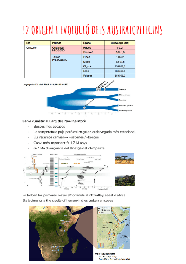 Miniatura del documento T2-ORIGEN-I-EVOLUCIO-DELS-AUSTRALOPITECINS.pdf