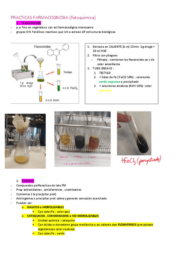 Miniatura del documento PRACTICAS-FARMACOGNOSIA-fotoquimica-.pdf