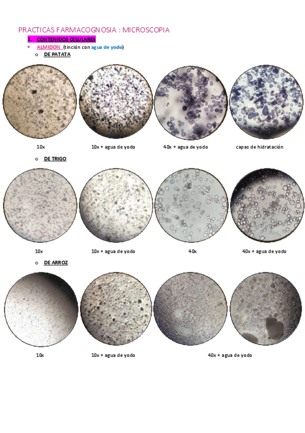 Miniatura del documento PRACTICAS-FARMACOGNOSIA-microscopia.pdf