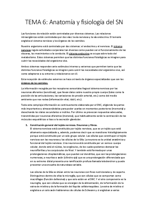 Miniatura del documento FISIOPATOLOGIA-TEMA-6-ANATOMIA-Y-FISIOLOGIA-DEL-SN.pdf