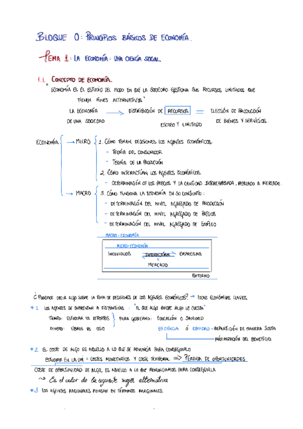 Miniatura del documento ECO1.pdf