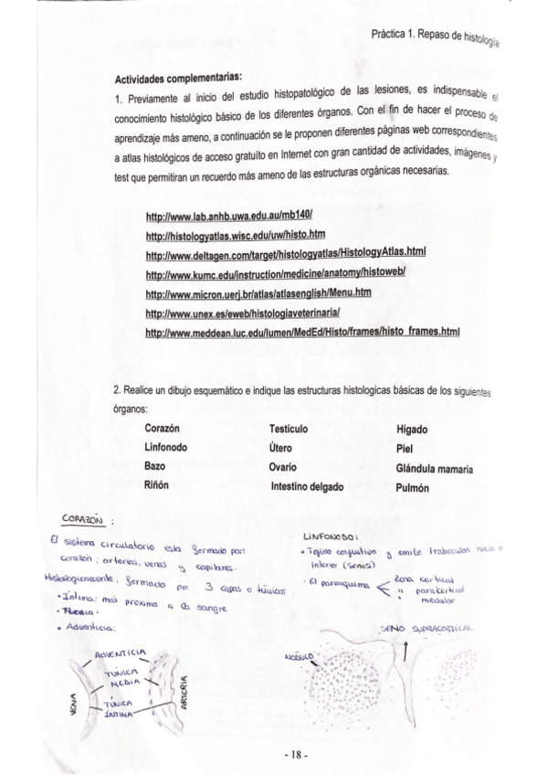 Miniatura del documento PRACTICAS-APG.pdf