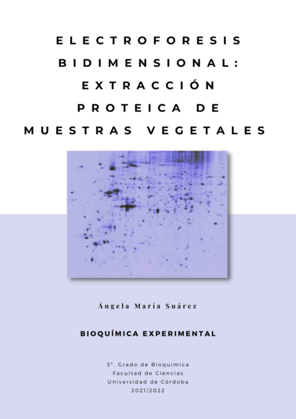 Miniatura del documento MariaSuarezAngelaPr6.pdf