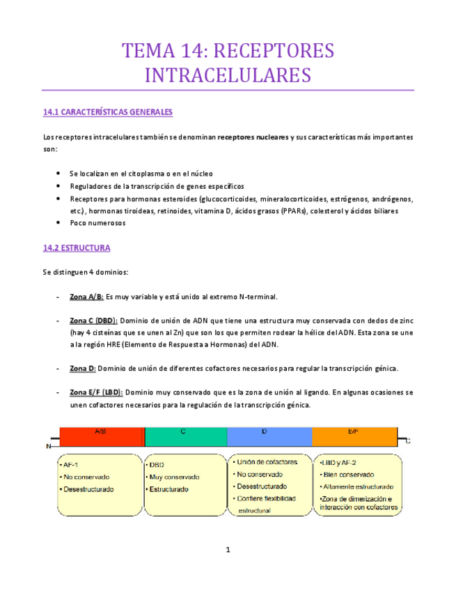 Miniatura del documento TEMA-14-bueno.pdf