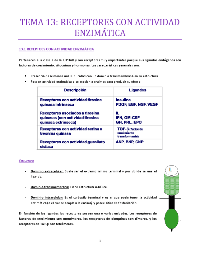 Miniatura del documento TEMA-13-bueno.pdf