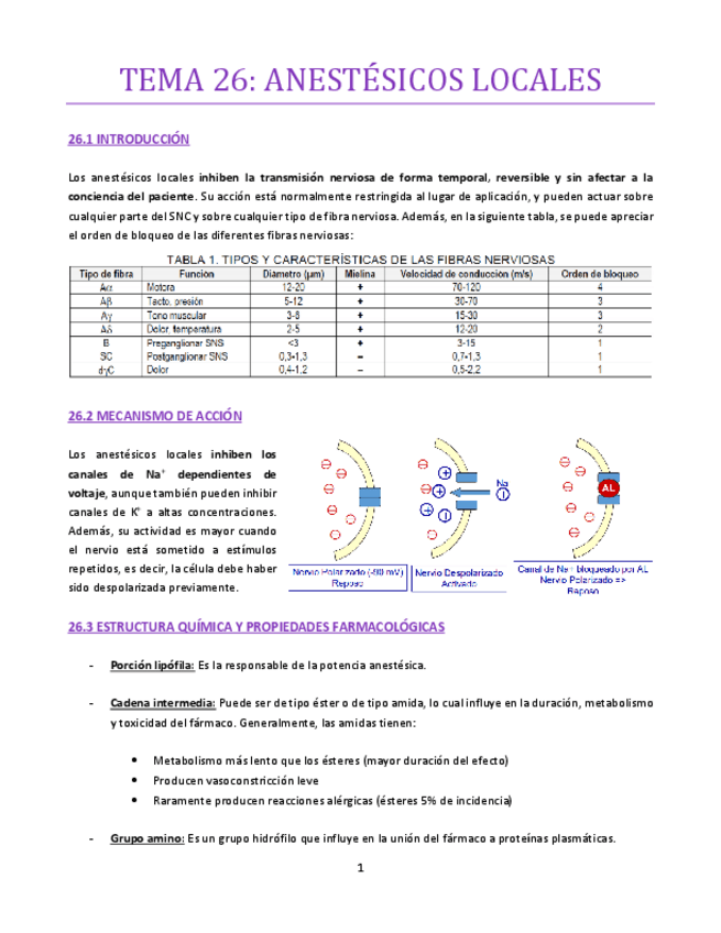 Miniatura del documento TEMA-26-bueno.pdf
