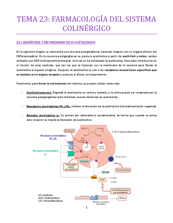 Miniatura del documento TEMA-23-bueno.pdf