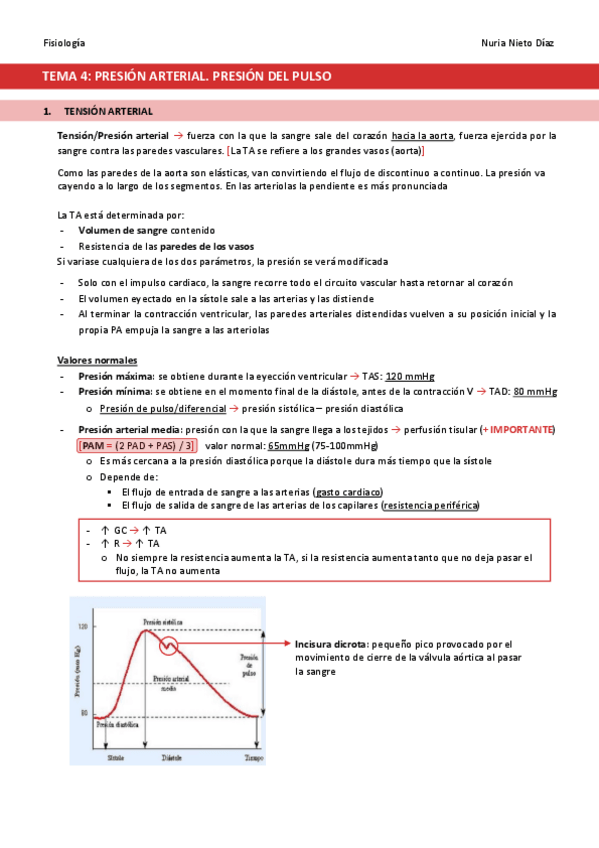 Miniatura del documento TEMA-4-Presion-arterial.pdf