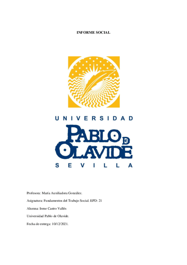 Miniatura del documento INFORME-SOCIAL.pdf
