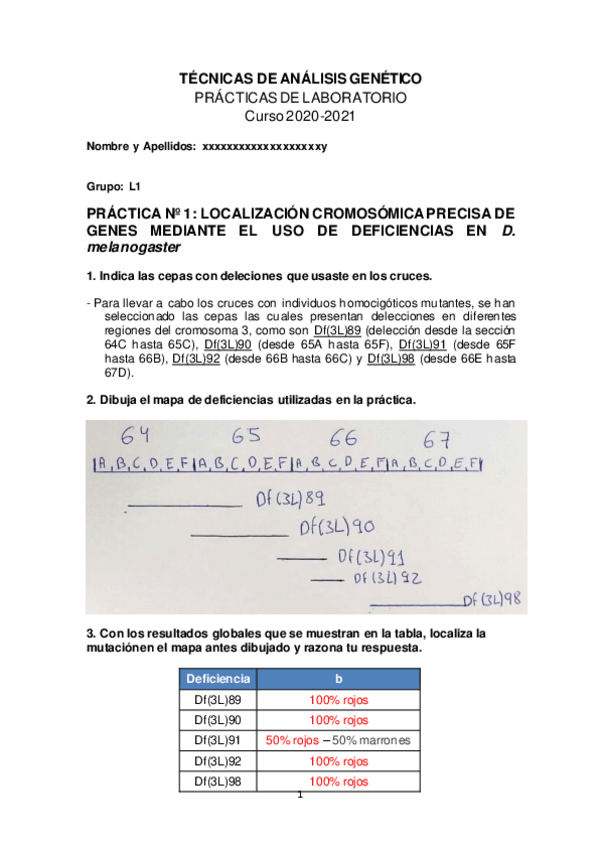 Miniatura del documento Memoria-Laboratorio-TAG-2021.pdf