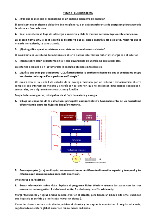 Miniatura del documento preguntas-eco.pdf